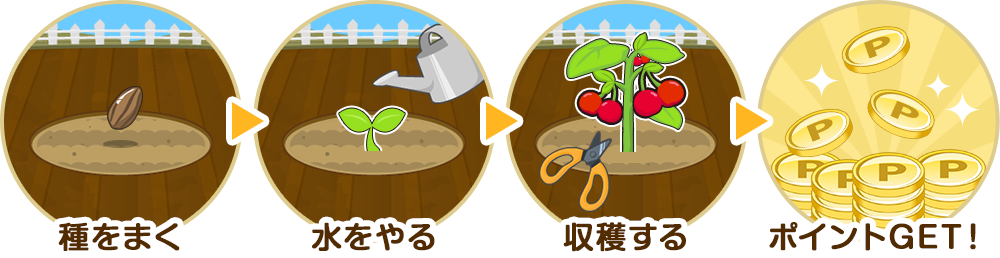 種をまく→水をやる→収穫する→ポイントGET！